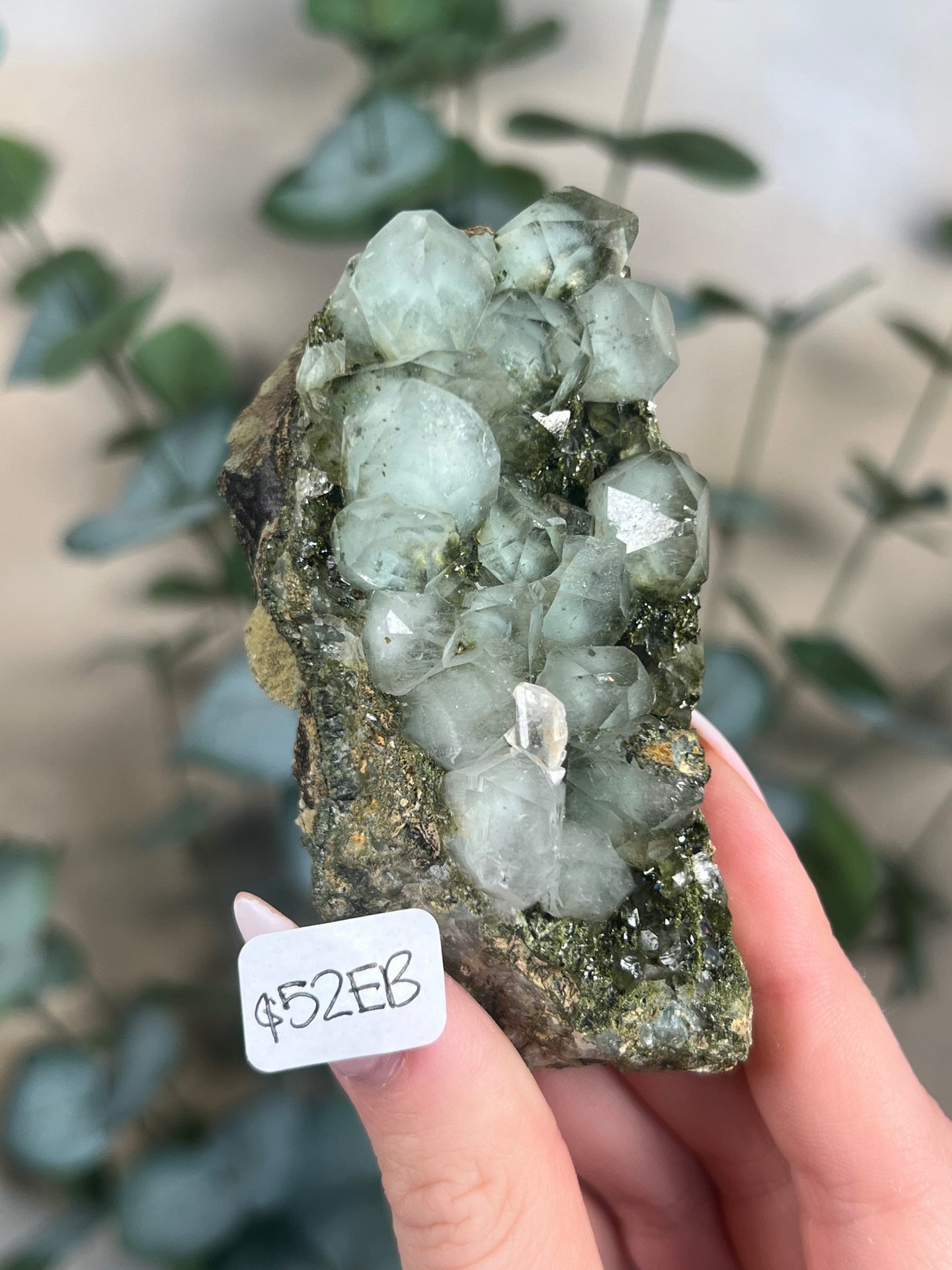 Forest Quartz / Epidote in Quartz (10 options)